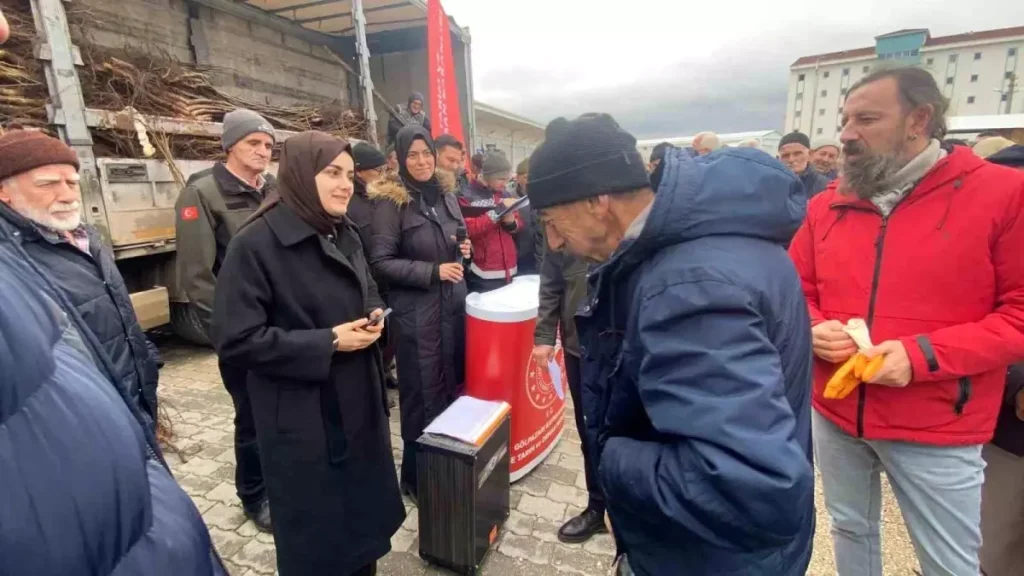 Gölpazarı’nda Meyve Fidanı Dağıtımı