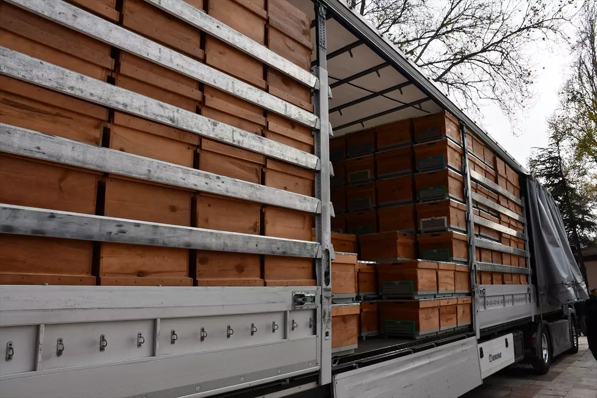 Bilecik’te Arıcılara 1000 Kovan Dağıtıldı – Yerel Üreticiler Destekleniyor