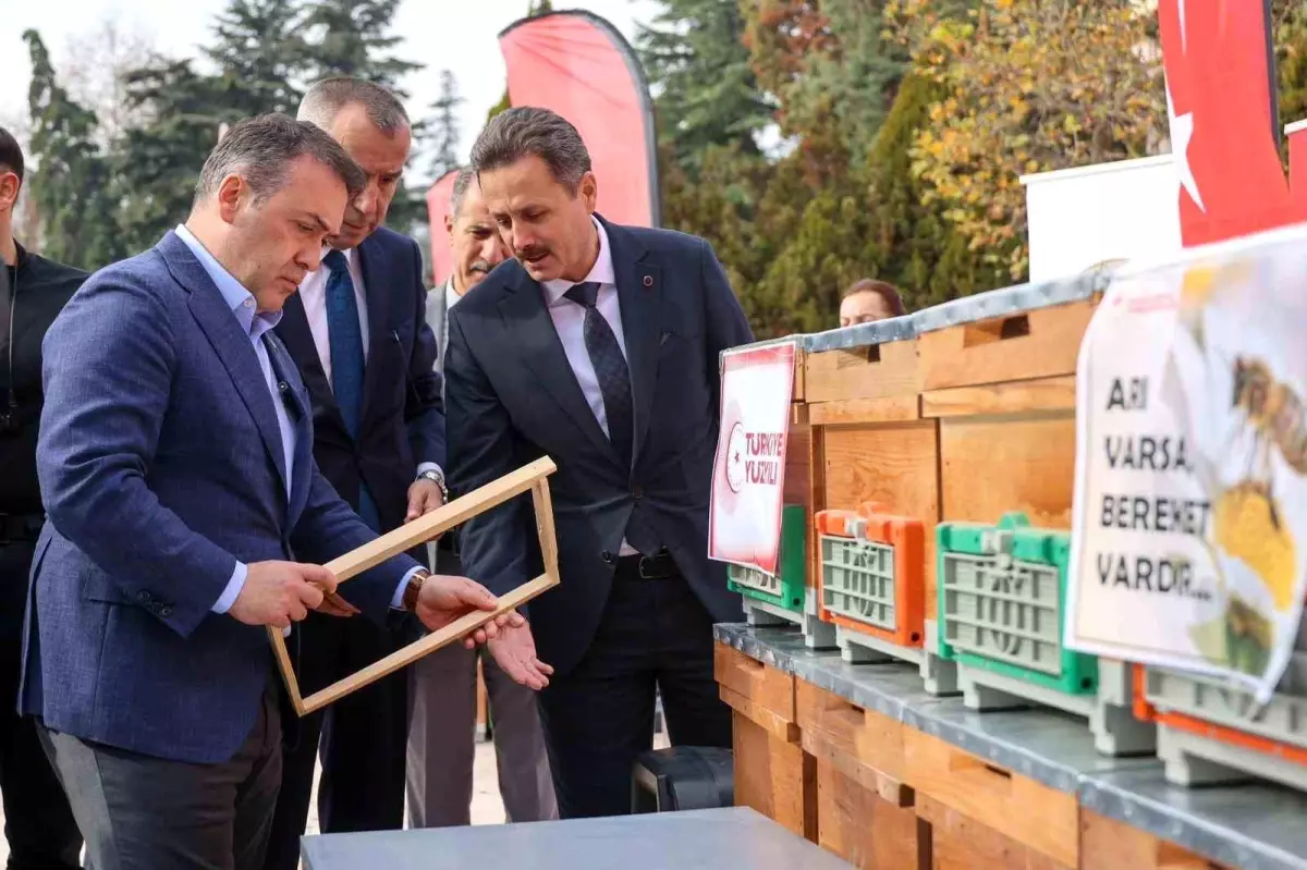 Bilecik Arıcılıkta Öne Çıkıyor: 20 Bin Kovan ve 126 Ton Bal Üretimi