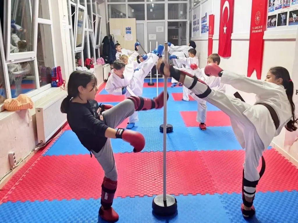 Bilecik’te Karate Antrenmanları Devam Ediyor
