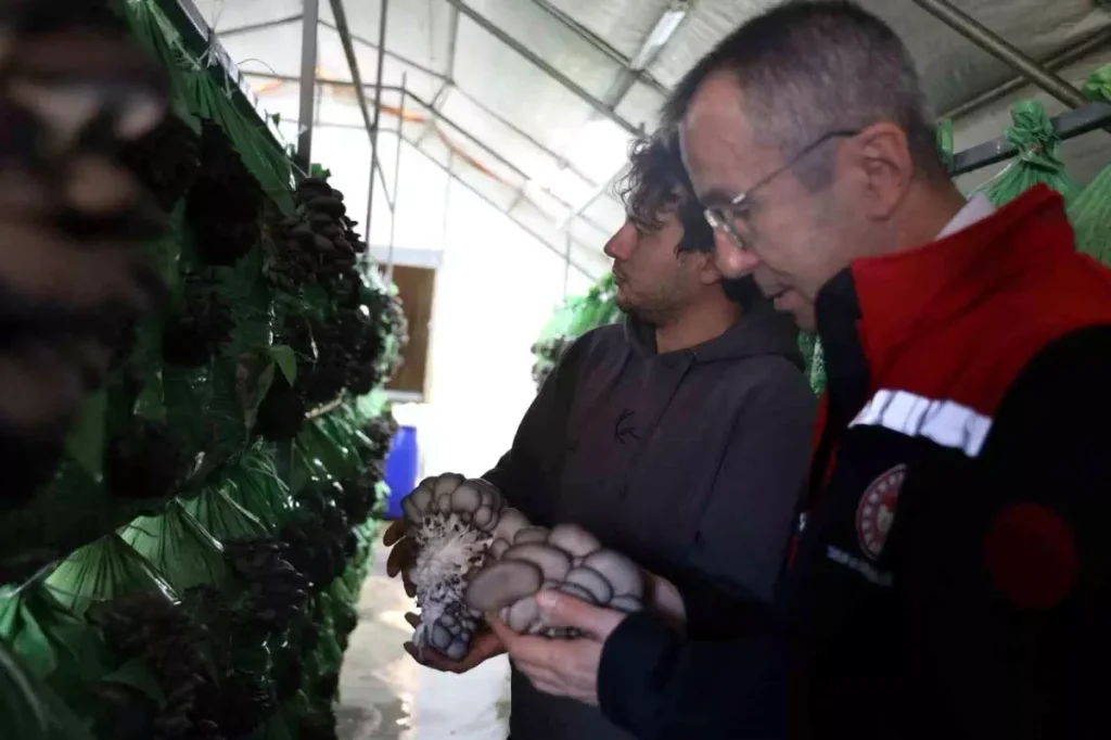 Bilecik’te %100 Hibe Destekli İstiridye Mantar Serası Açıldı