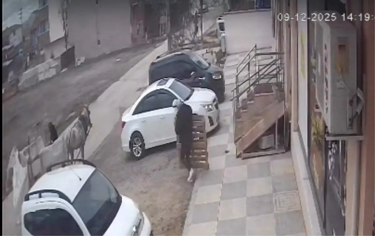 Eskişehir’de At Arabasıyla Malzeme Hırsızlığı Şok Gördü!