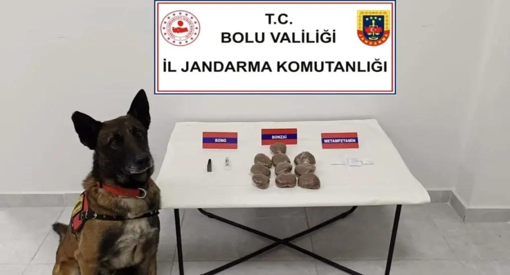 Bolu’da 450 Gram Bonzai ve Metamfetamin İçeren Otomobilde Şok Operasyon!