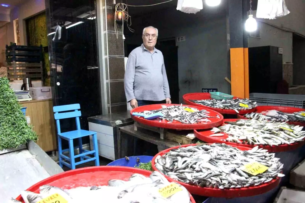 Kış Aylarında Balık Tüketimi Patladı: Bozdoğan’da Hamsi ve Diğer Çeşitler Hızla Tükendi