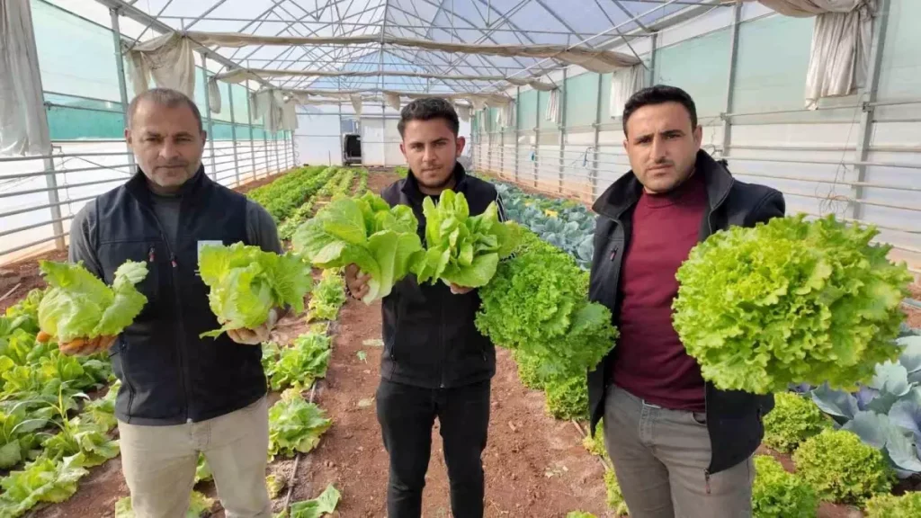 Şanlıurfa Büyükşehir Belediyesi’nden Kışlık Sebze Hasadı ve Sosyal Destek Hamlesi