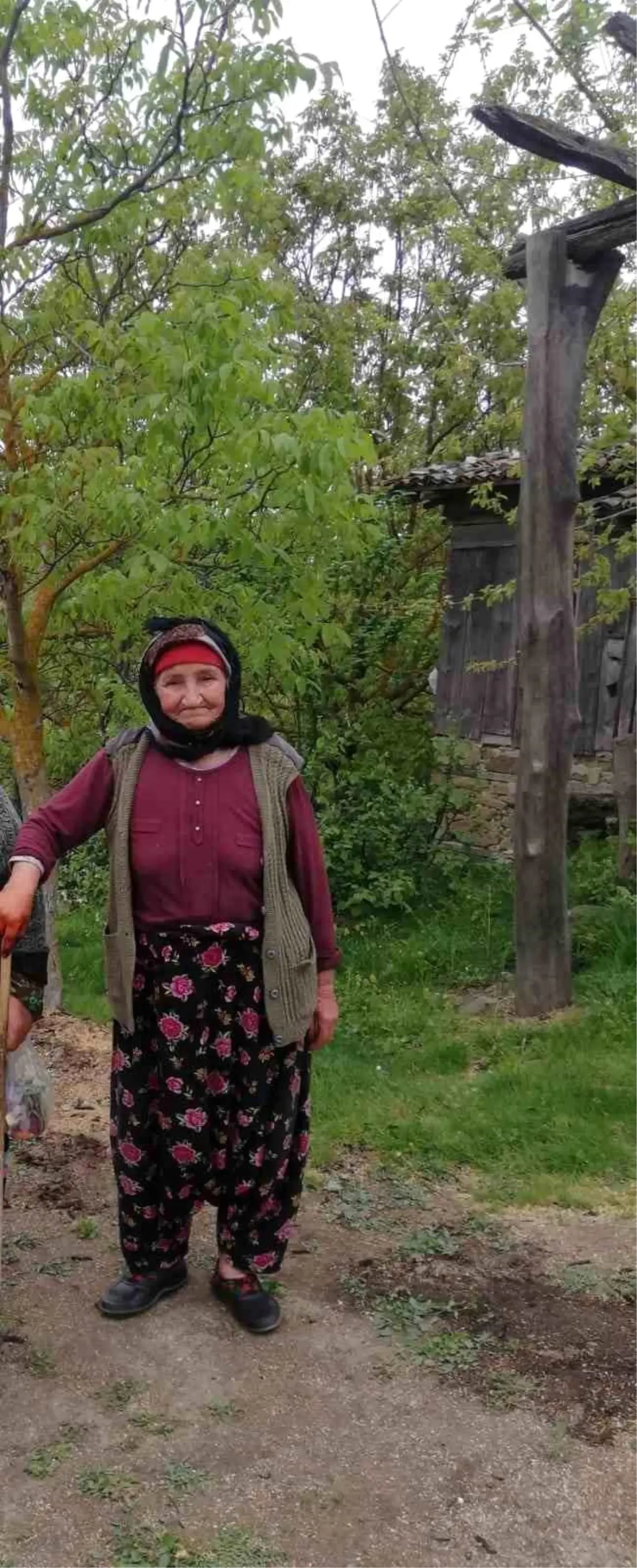 90 Yaşındaki Alzheimer Hastası Şefika Avcı Çan’da Ölü Bulundu