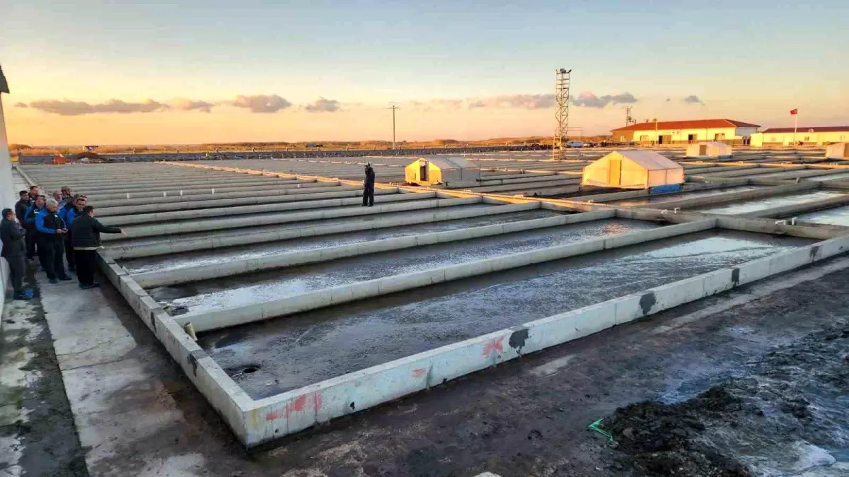 Çanakkale’de Eşsiz Deniz Solucanı Tesisine Ziyaret – Türkiye’nin Tek Lügworm Üretim Merkezi