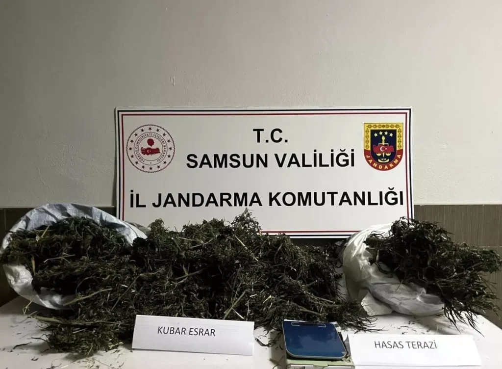 Samsun Çarşamba’da Jandarmadan Şok Uyuşturucu Operasyonu: 3,5 kg Esrar ve Hassas Terazi Ele Geçirildi