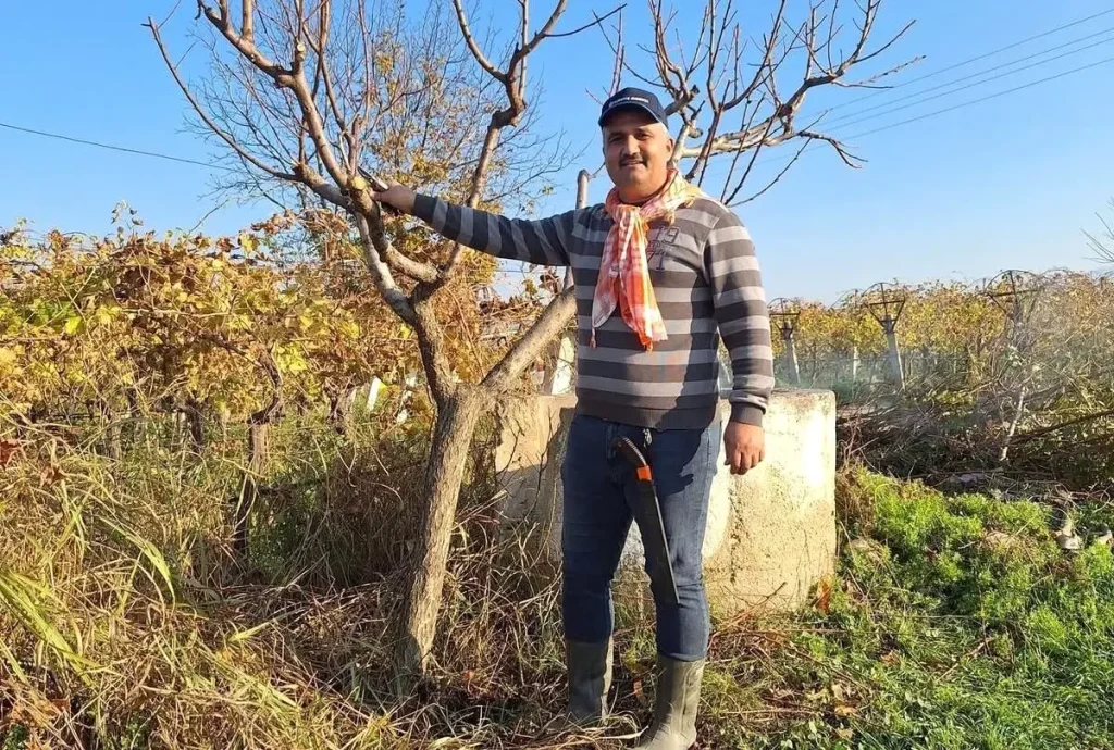 Sarıgöl’de Tarım Kışa Rağmen Devam Ediyor