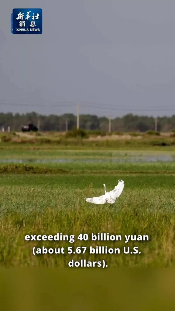 Xinjiang’da 40 Milyar Yuan’lık Su Koruma Yatırımı Bölgeyi Değiştirecek!