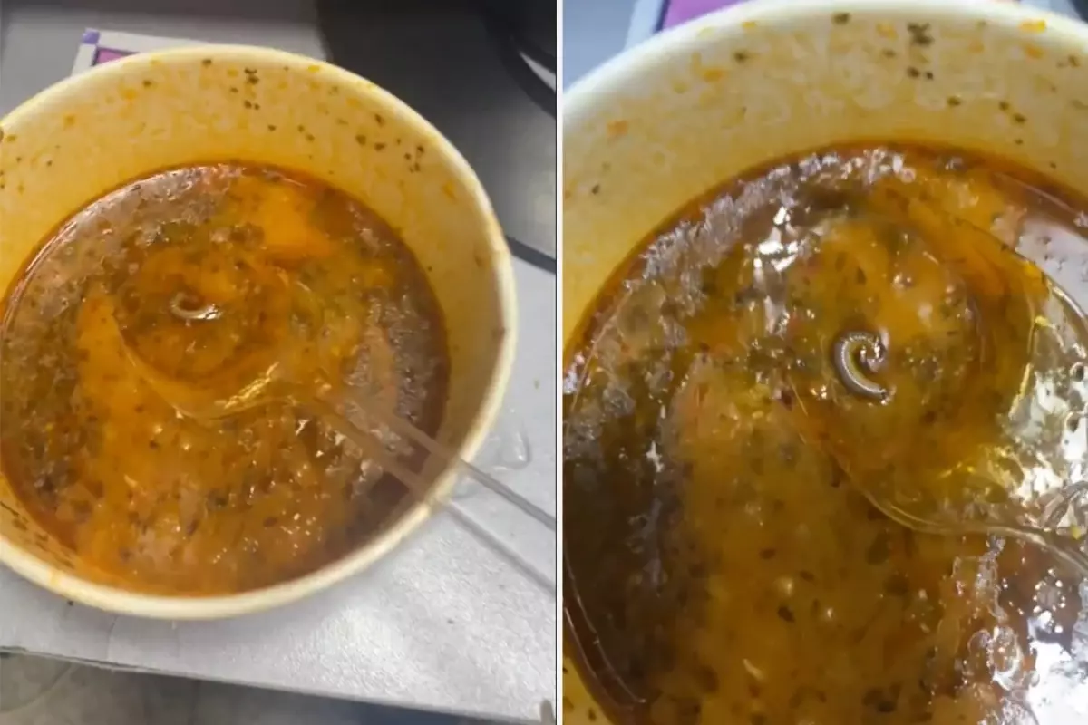 Çorbanın içinden çıkanlar mide bulandırdı