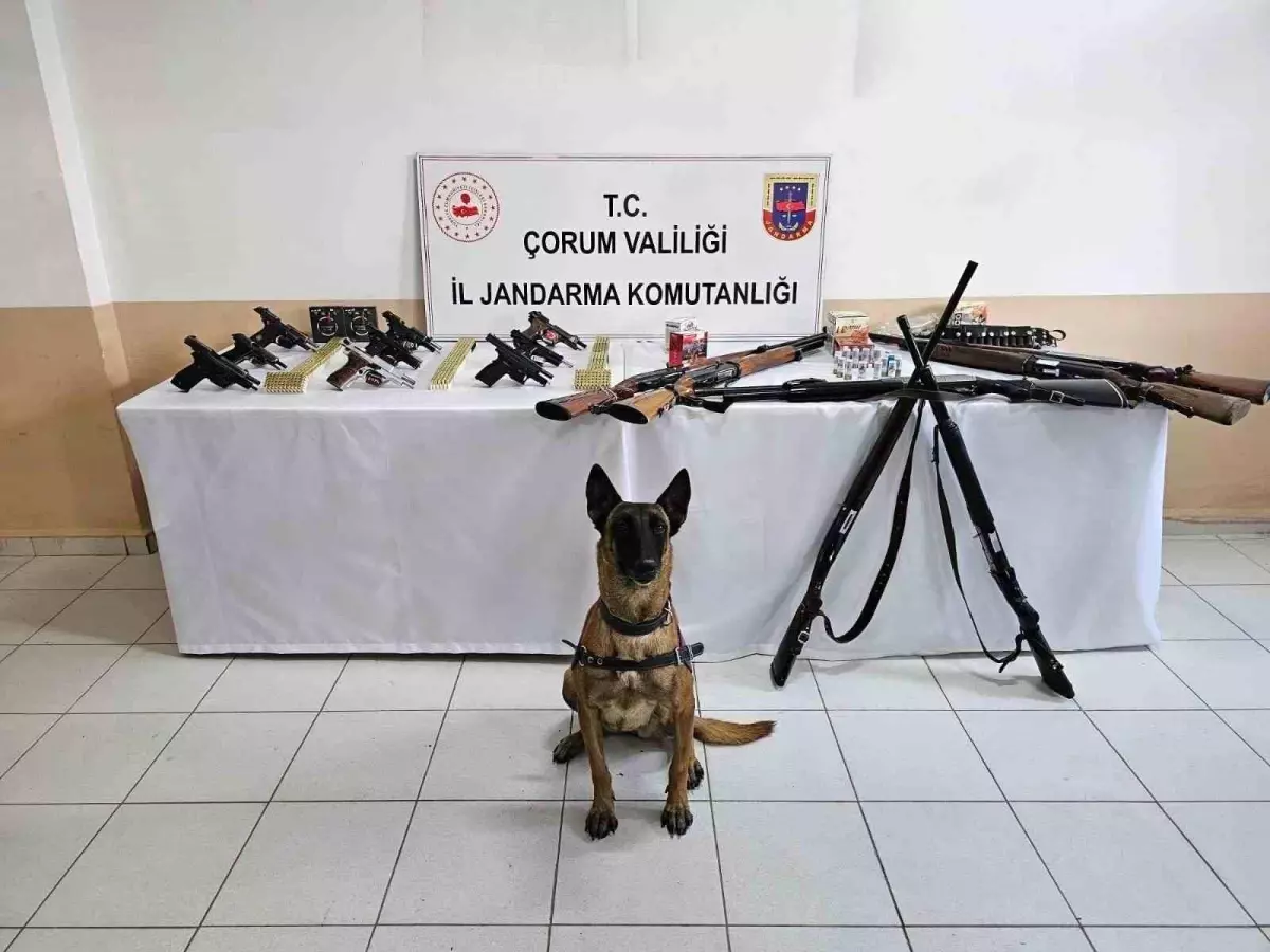 İskilip’te Şok Silah Operasyonu: 11 Kişi Gözaltına Alındı, Yüzlerce Silah Ele Geçirildi