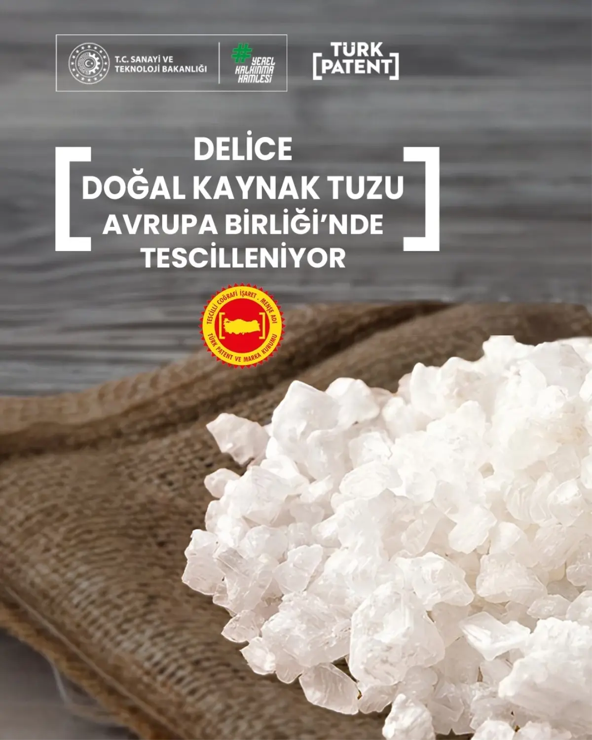 Delice Doğal Kaynak Tuzu AB Tescilinde
