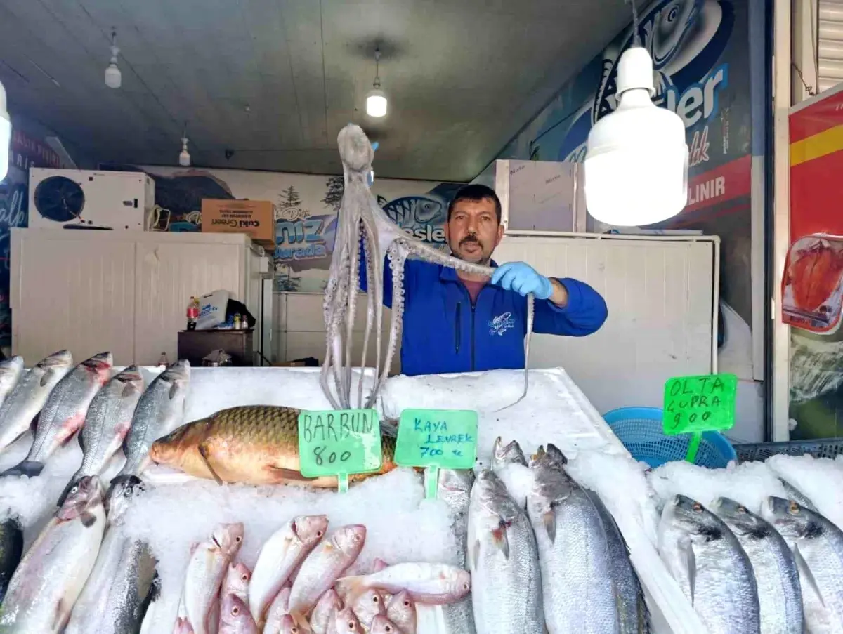 Kahramanmaraş’ta Balık Talebi Rekor Seviyeye Ulaştı