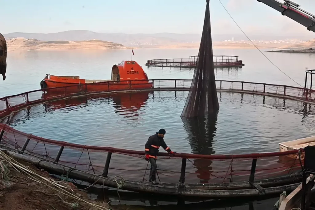 Yozgat’ta Barajdan Somon İhracı: Bozkırın Ortasından Dünya Pazarlarına Açılan Kapı