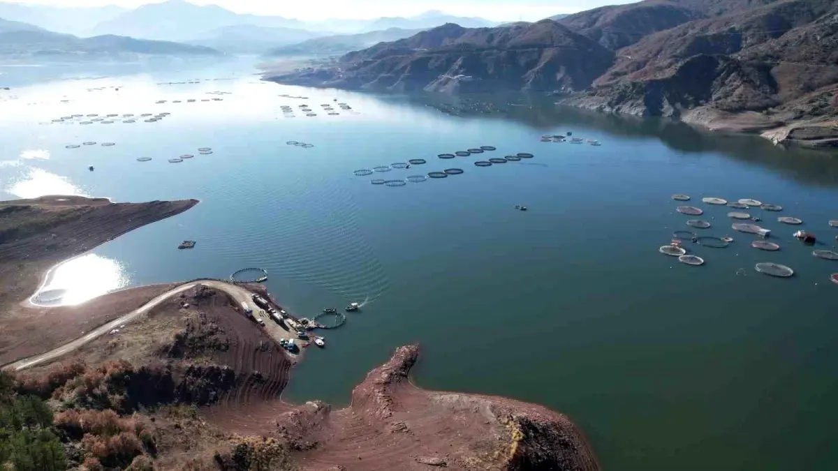 Denizi Olmayan Tokat’ın Somonları Dünya Sofralarına Yolculuk Ediyor