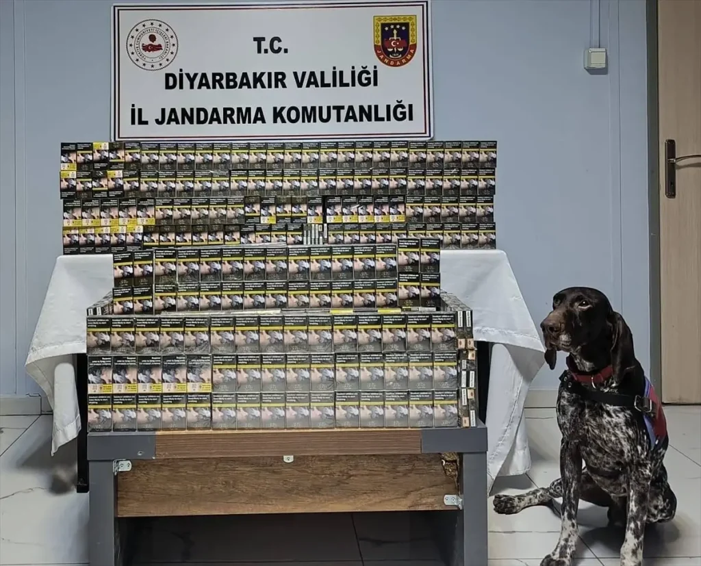 Diyarbakır’da Kaçakçılık Operasyonu: 52 Gözaltı