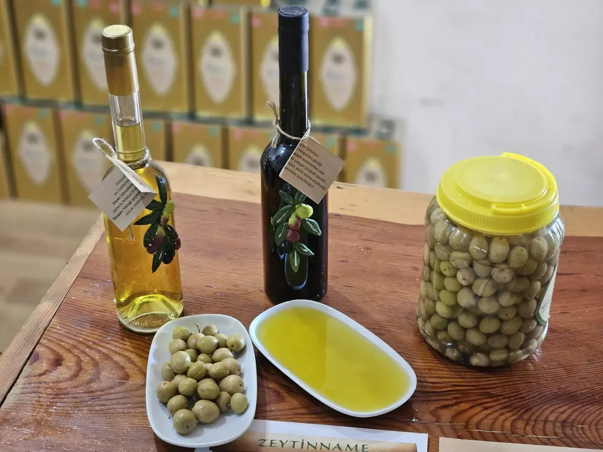 Tavşan Yüreği Zeytinyağı 1500 TL – Antalya’nın Altın Damlası