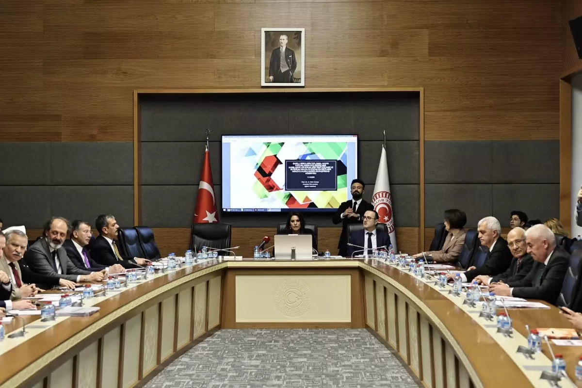 Engelli Bireylerin Sorunları TBMM’de Ele Alındı