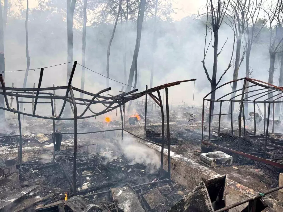 Ünlü tabiat parkında yangın! Bungalov ve karavanlar küle döndü