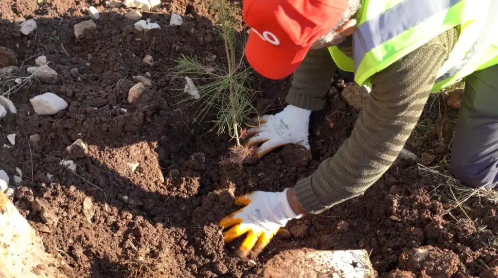 Gabar’da Fidan Dikim Seferberliği Başladı