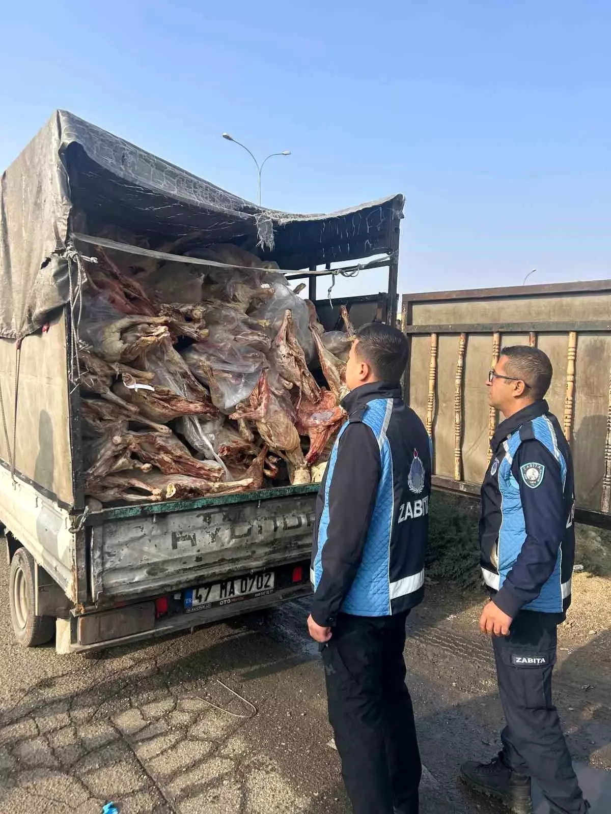 Gaziantep’te kamyonet kasasında kilolarca bozuk et ele geçirildi