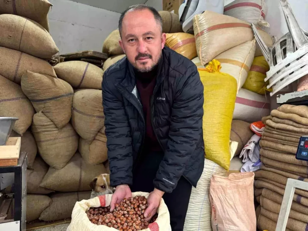 Fındık Fiyatları Yükseldi