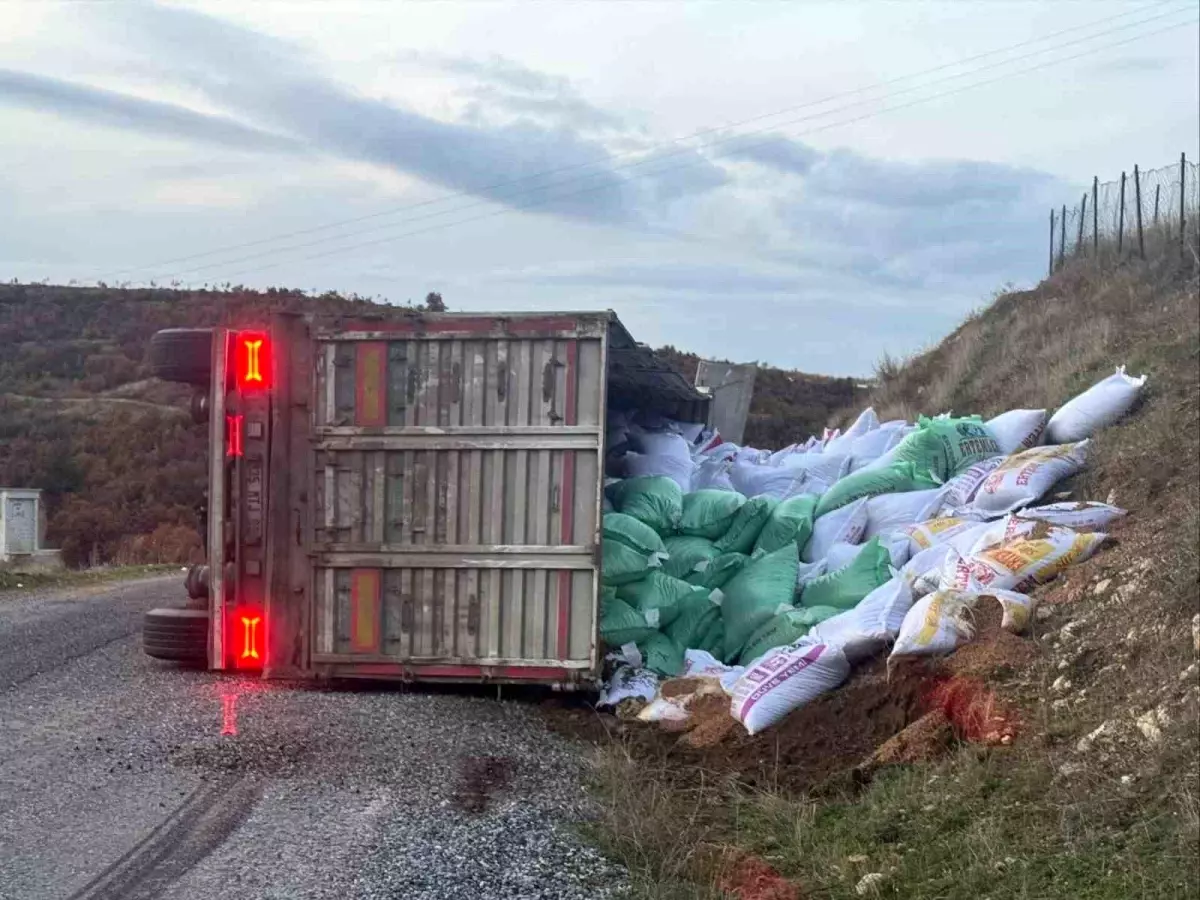 Yem Yüklü Tır Gördes’te Virajı Kaçırdı, Şoför Hastaneye Sevk Edildi