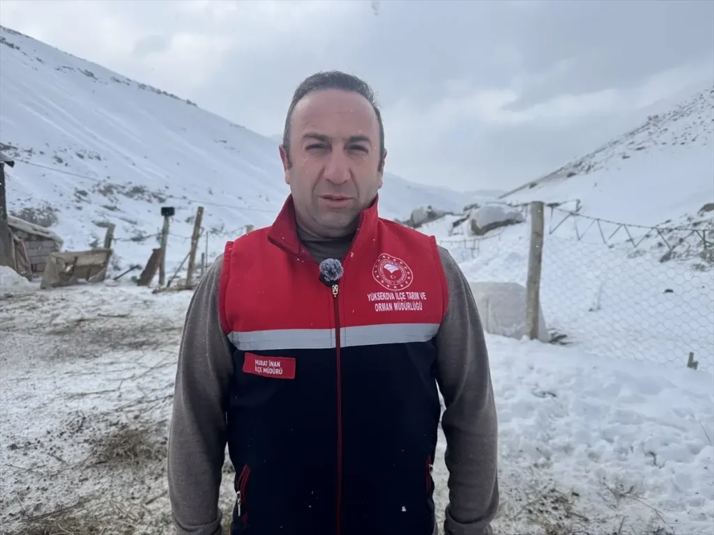 Yüksekova’da Veteriner Hekimlerin Zorlu Aşı Çalışmaları