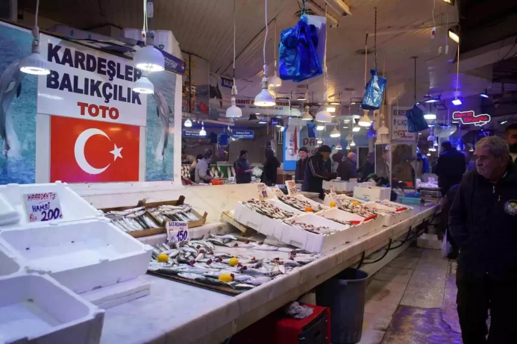 Sakarya’da İstavrit Bolluğu Yaşanıyor