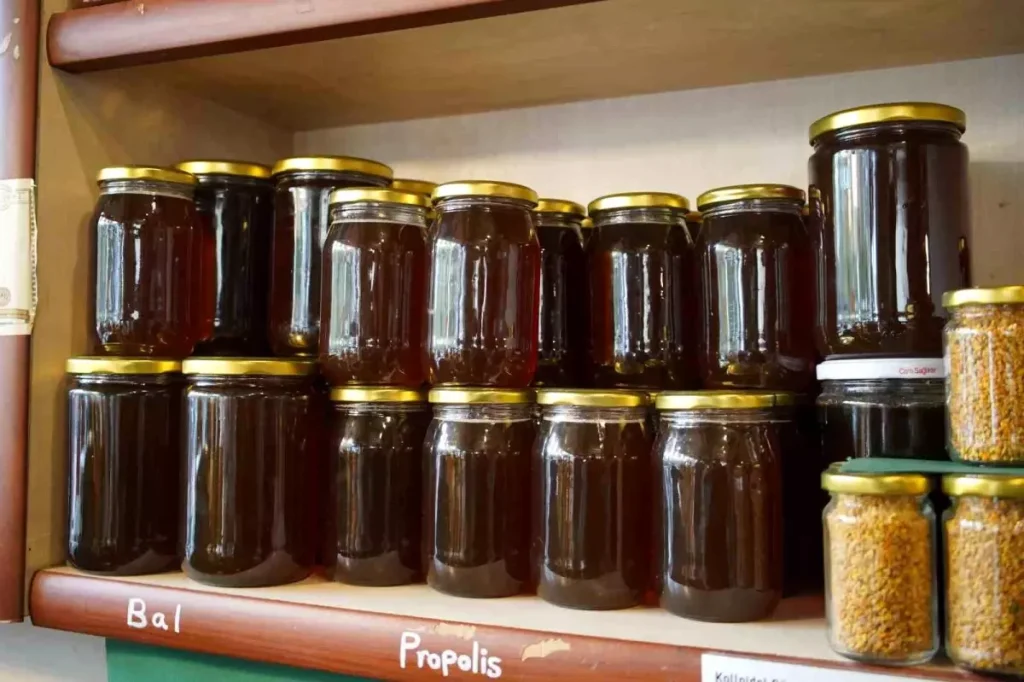 Sakarya’da Kış Hastalıklarına Karşı Bitkisel Ürünlere İlgi Artıyor