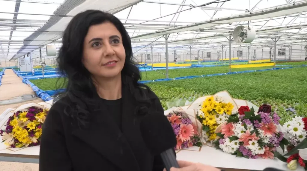 Haymana’da Termal Su ile Çiçek Üretimi Projesi