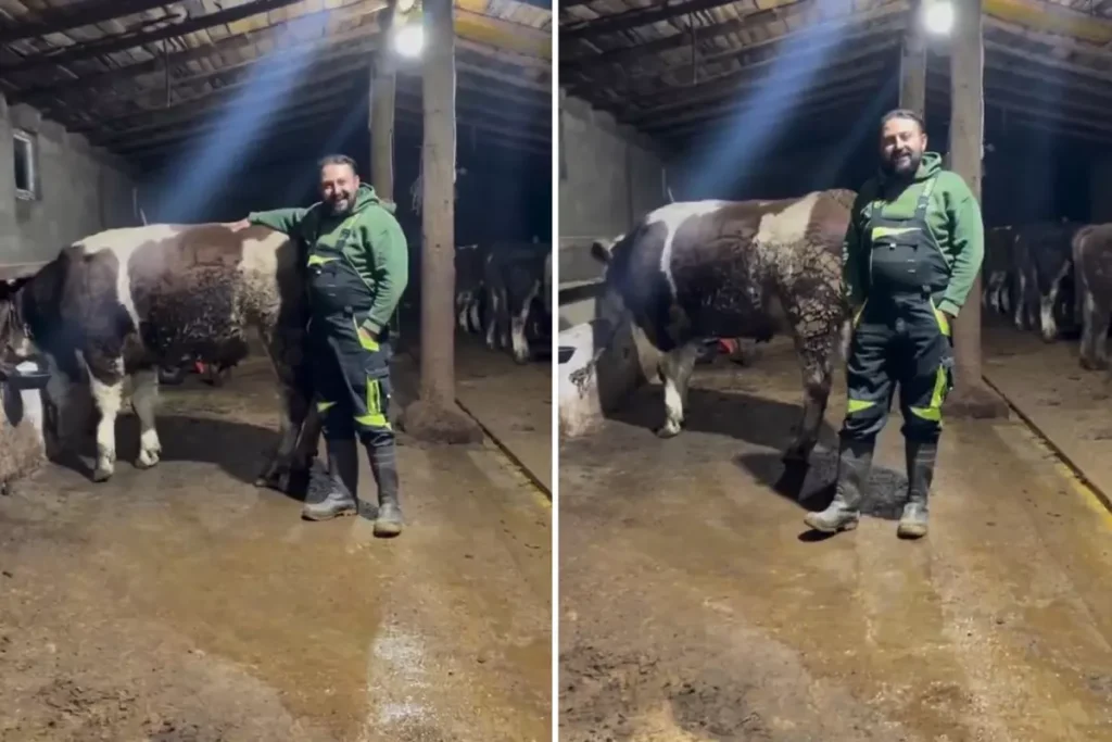 Hayvanıyla Video Çeken Vatandaşın ‘8‑9 Aylık Maaş’ İddiası Asgari Ücret Tartışmasına Ateş Getirdi