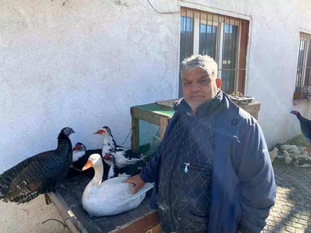 Edirne’de Kanatlı Hayvan Satışları Beklentilerin Altında Kalıyor