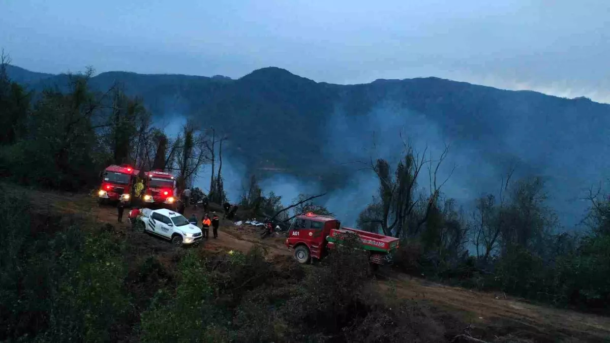 Artvin’de Orman Yangını Kontrol Altına Alındı