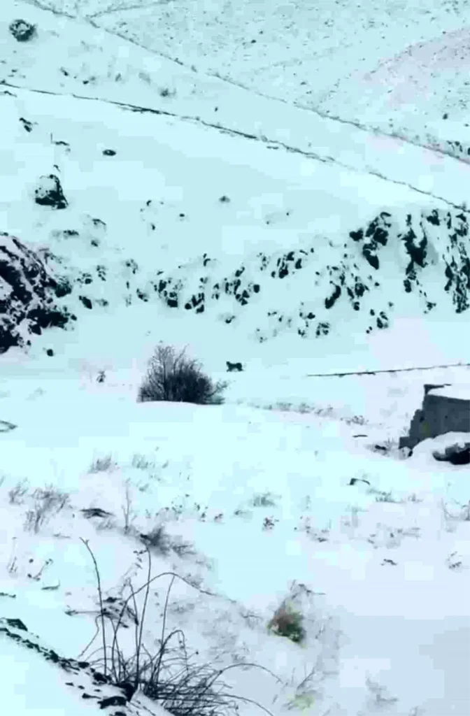 Iğdır’da Vaşaklar Köye İndi