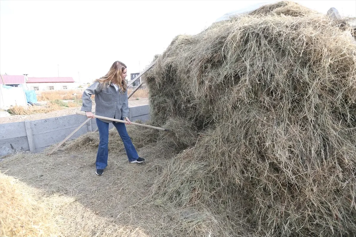 Kars’ta Hayvancılığa Dönüş: Genç Kadın 160 Koyuna Ulaştı