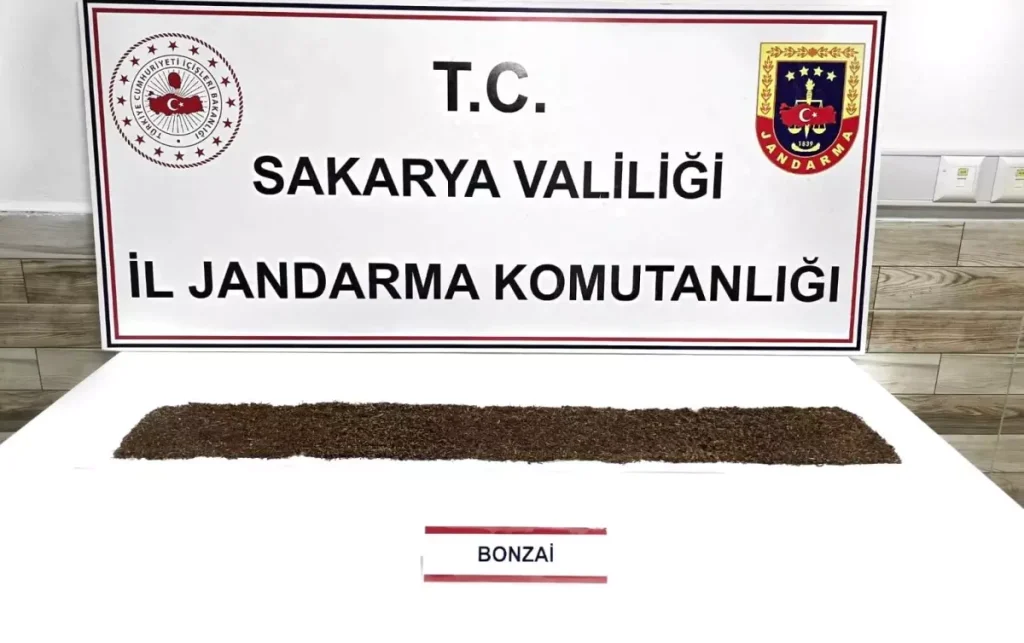 Karasu’da Uyuşturucu Operasyonu: 1 Tutuklama