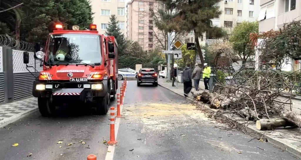 Kadıköy’de Ağaç Devrildi, Panik Yaşandı