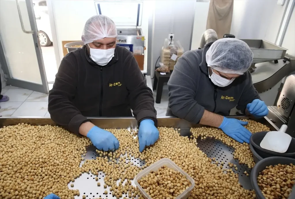 Kadın Girişimci Fındık İşleyerek Ekonomiye Katkı Sağlıyor