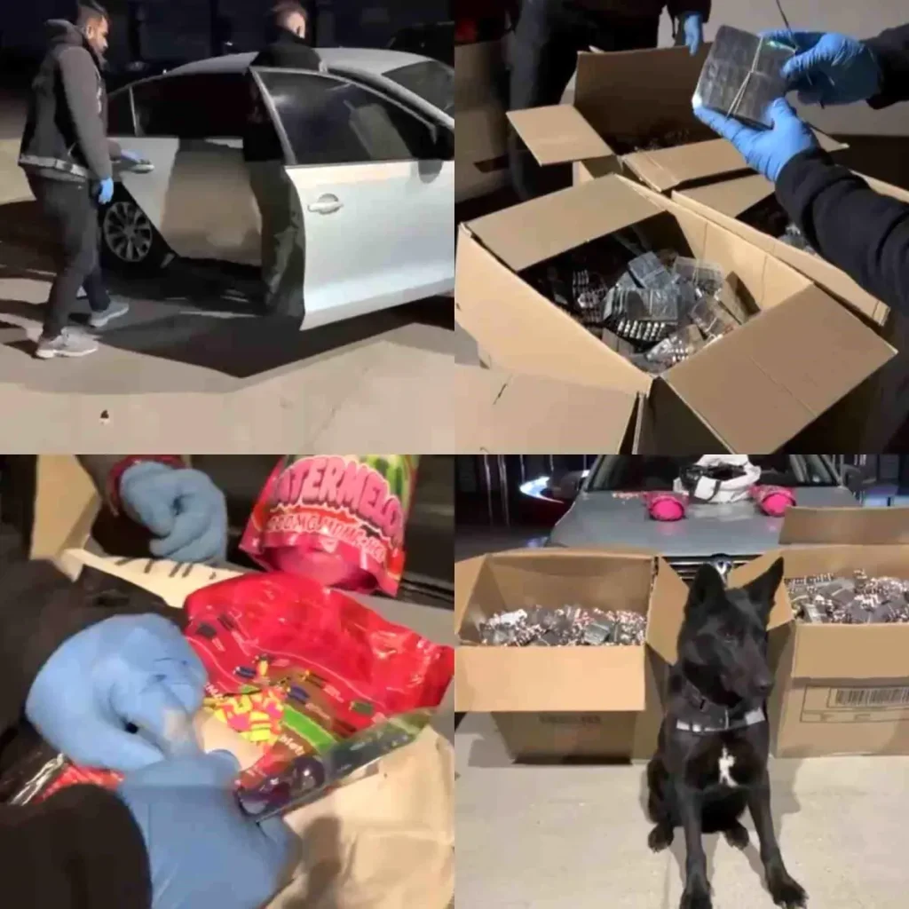 Kahramanmaraş’ta 20 Milyon TL Değerinde Uyuşturucu Ele Geçirildi