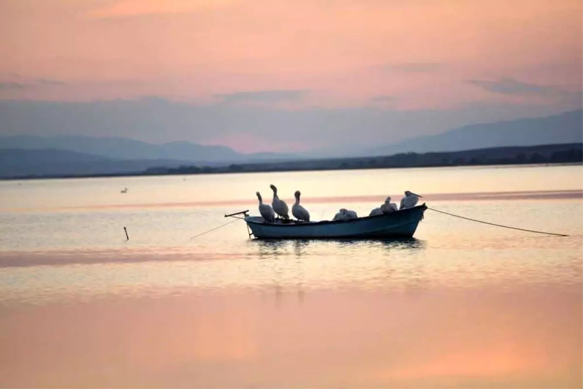 Karacabey’de Çeltik Ekimi Yasaklandı