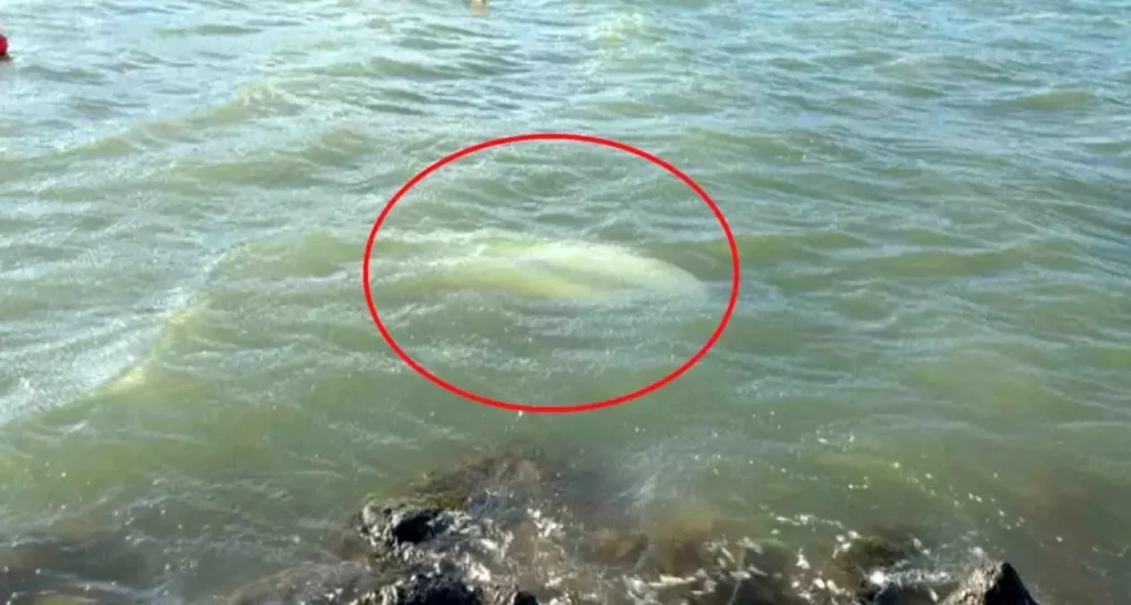 Samsun’da Fırtına: 3 Tekne Battı