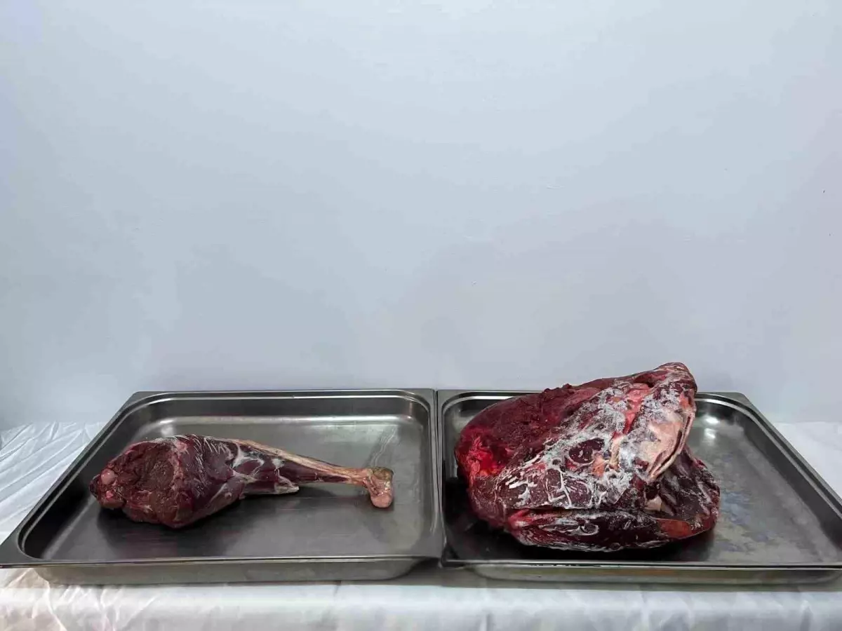 Karaman’da Jandarma Denetiminde Büyük Uyuşturucu ve Silah Operasyonu