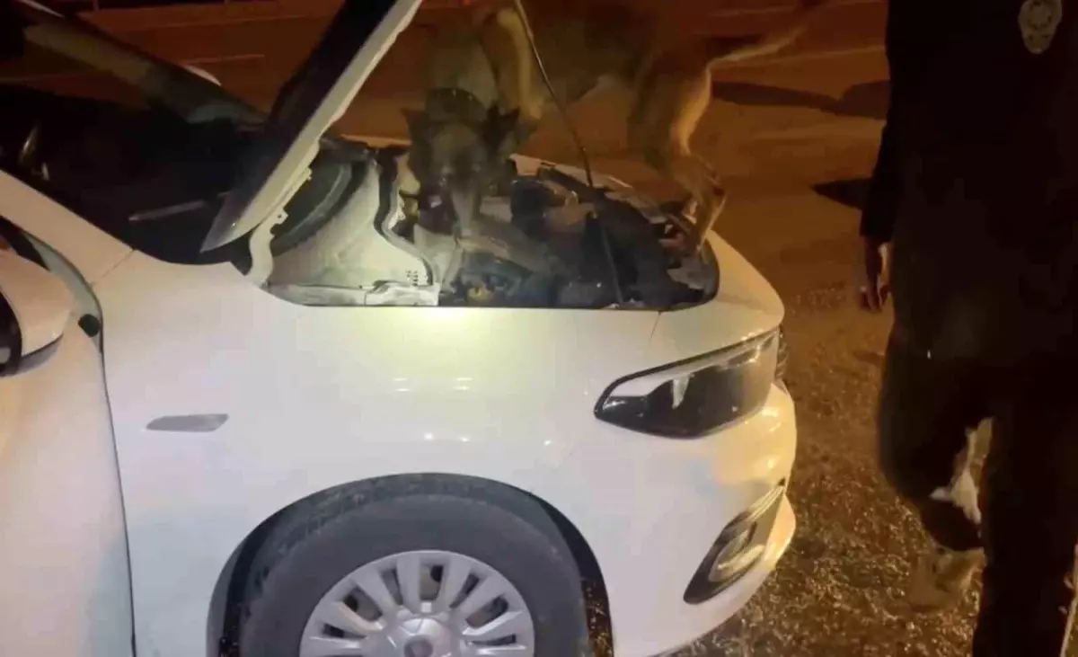 Kastamonu’da Uyuşturucu Operasyonu: 5 Tutuklama