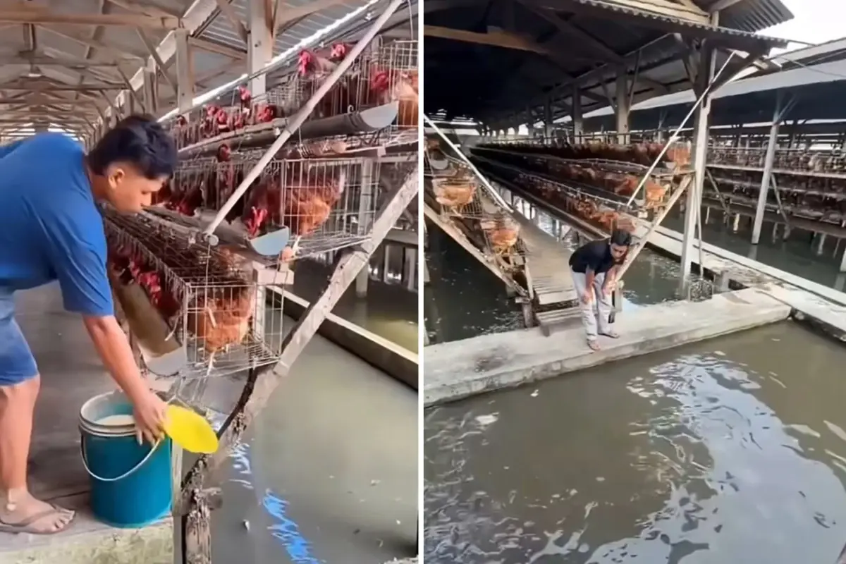 Kazancını ikiye katlamak isteyen girişimcinin taktiği büyük tartışma yarattı