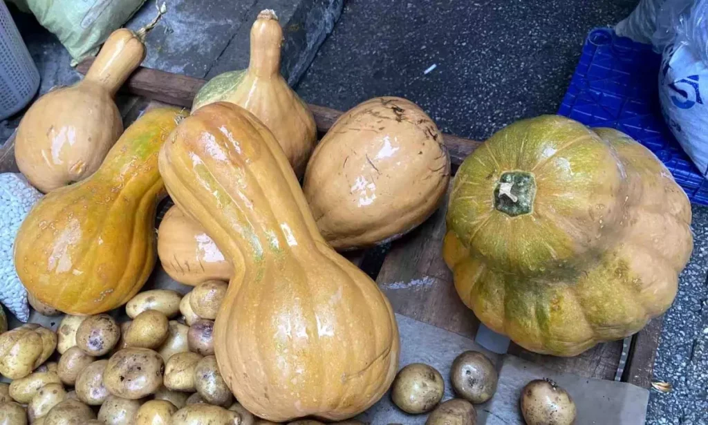 Alaşehir Semt Pazarında Bal Kabağı Fırsatı: Doğal Şifa Kaynağı ve Ekonomik Fiyatlar