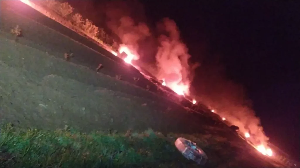 Kadınlar Yaban Mersiniyle Gelir Elde Ediyor