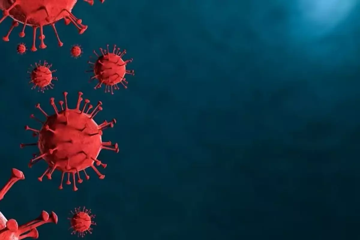 Kırgızistan’da alarm, hızla yayılan virüs eğitimi felç etti