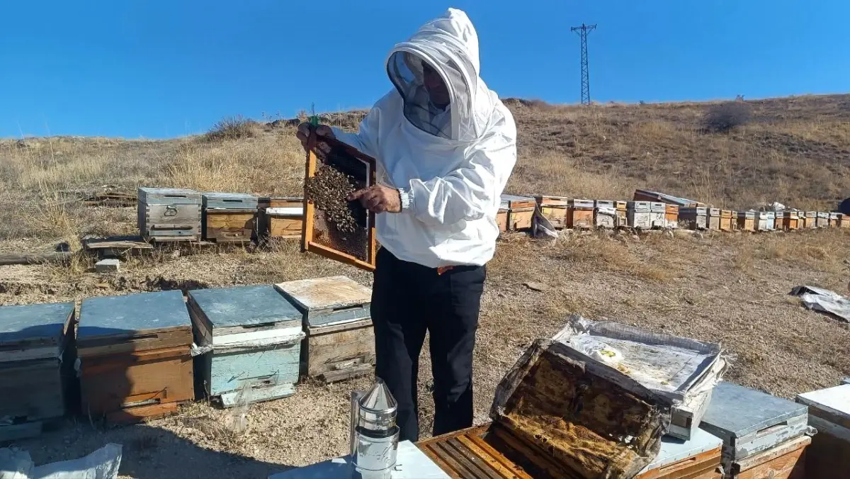 Adıyaman Balı Kışa Hazırlanıyor